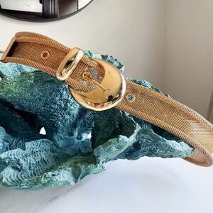 90s Vintage Style Gold Tone Metal Mesh Belt Womens Polished Buckle GUC